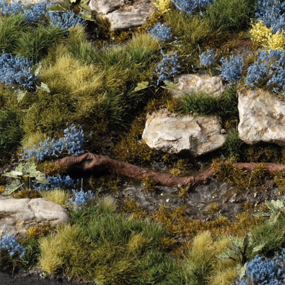 Bluebeard Flowers - Gamers Grass