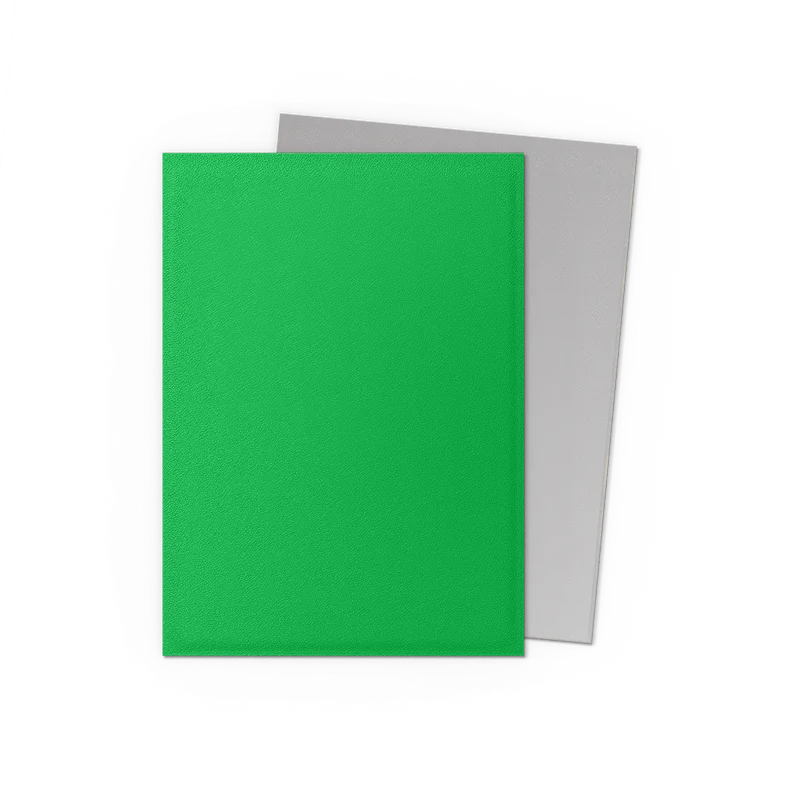 Dragon Shield Apple Green & Silver Matte Dual Sleeves