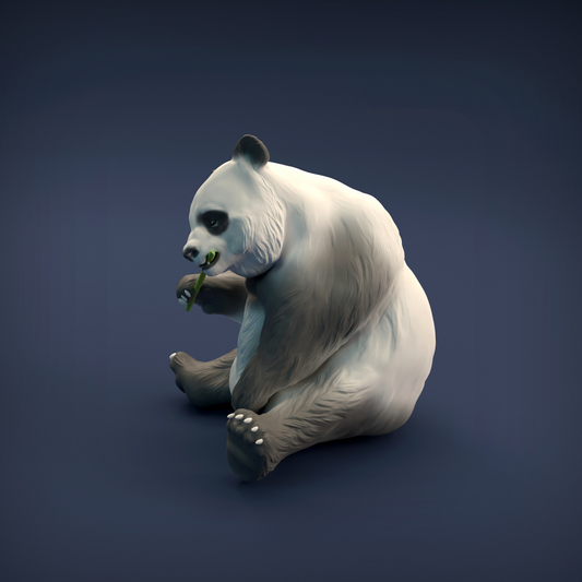 Giant Panda by Iron Gate Scenery...