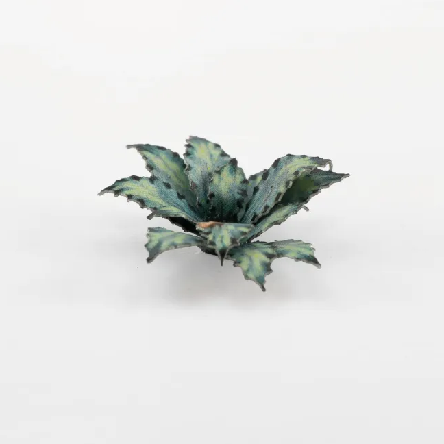 Gamers Grass Blue Agave - Paper Plants