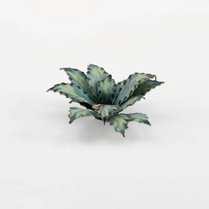 Gamers Grass Blue Agave - Paper Plants