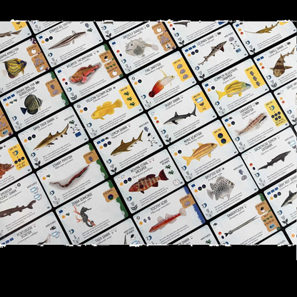 Finspan Sharks & Reef - Board Game Expansion