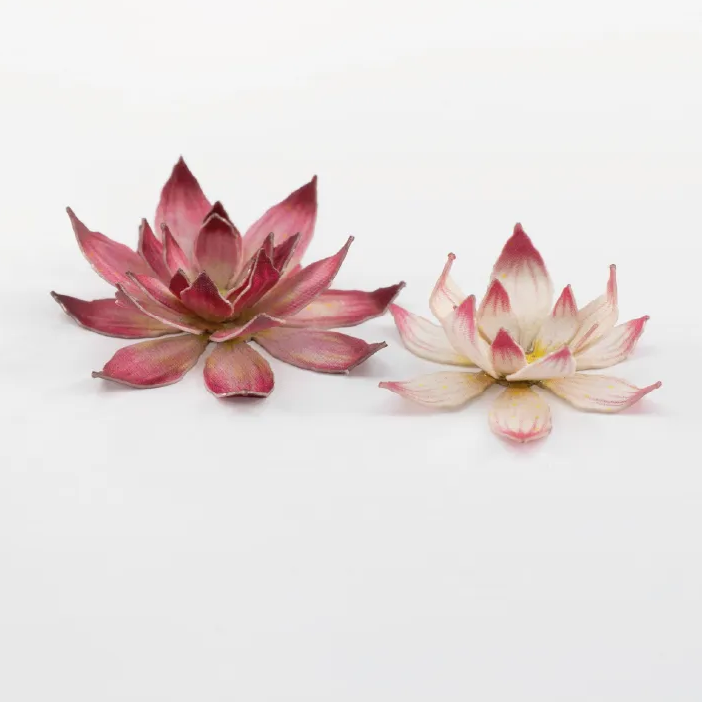 Gamers Grass Lotus Flower - Paper Plants