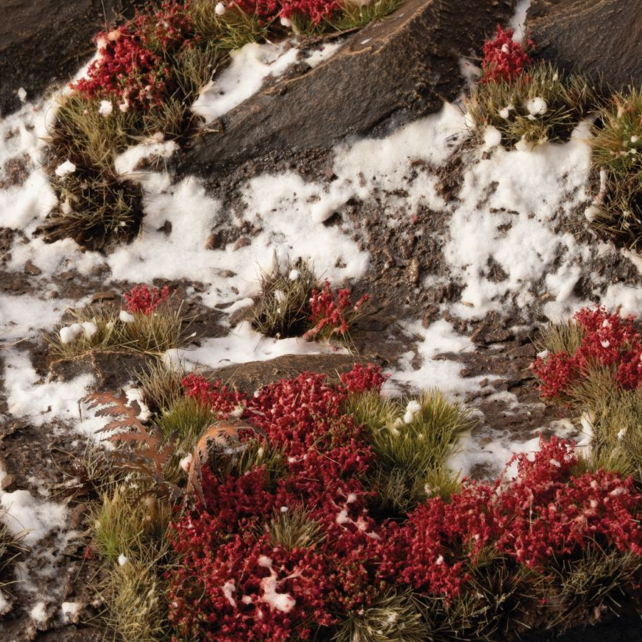 Laliguras Flowers - Gamers Grass