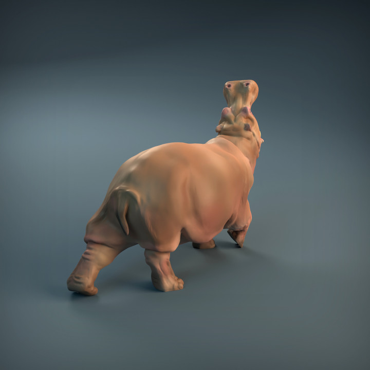 Angry Hippo by Iron Gate Scenery a 28mm scale printed resin hippopotamus with its jaw open and one foot slightly raised from the ground for your tabletop gaming needs