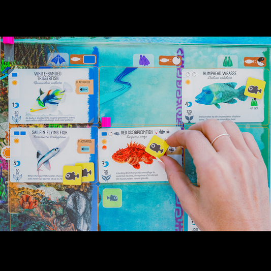 Finspan Board Game Marine Strate...
