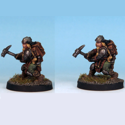 Female Dwarf Fighter - Crooked Dice