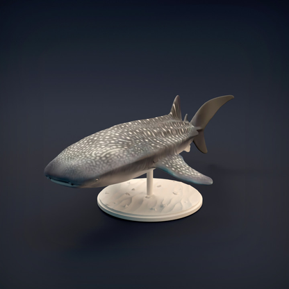 Whale Shark by Iron Gate Scenery a 28mm scale printed resin sea creature for your tabletop gaming needs, sea themed RPG adventures and dioramas
