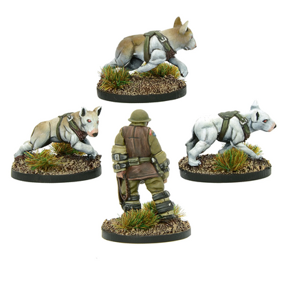 British War Dog Squad 2 - Blister