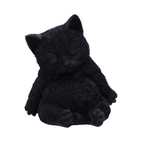 Daydream the sleeping black cat figurines from Nemesis Now an adorable snoozing kitten in a familiar portly tummy and closed eyes sculpt making a wonderful edition to your home or as a gift for a cat loving friend.