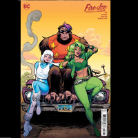 Fire & Ice: Welcome to Smallville #6 - Steigerwald Cover Comic