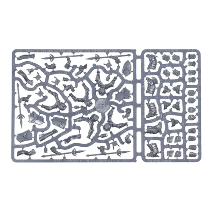 Paladin Knights - KOW