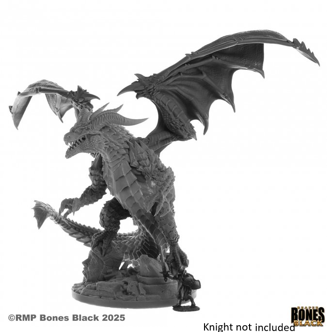 44234 Chaarondar the Cruel - Bones Black Boxed Set