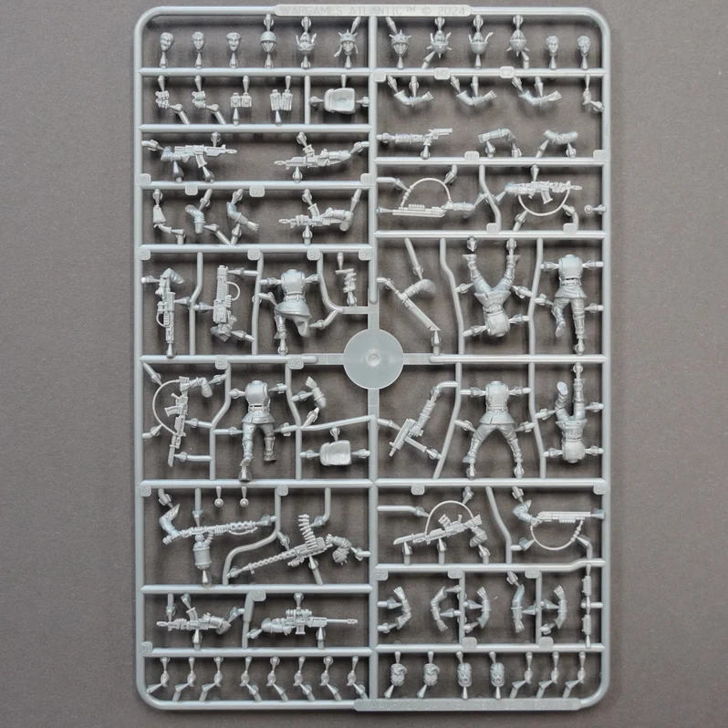 The Damned Female Infantry - Death Fields Wargames Atlantic