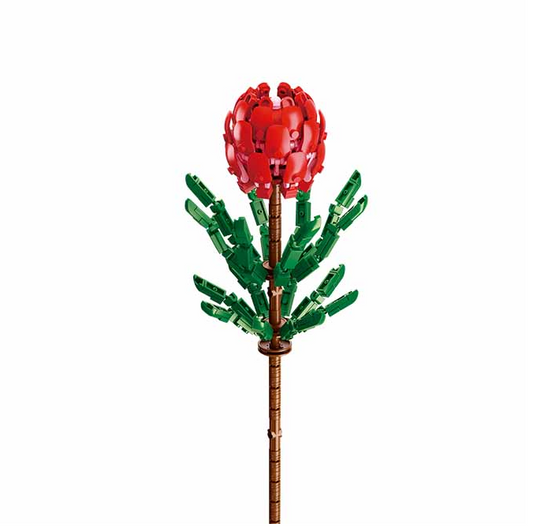 Red flower in a white vase on a ...