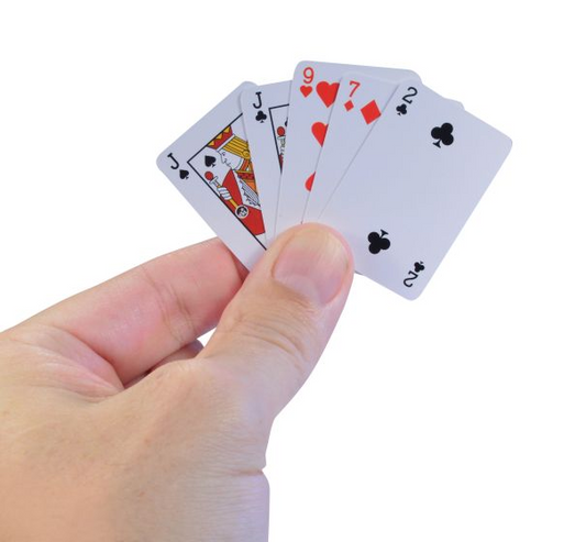 World's Smallest miniature p...