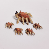 A pack of small crabs by Iron Gate Scenery in 28mm scale printed in resin for your tabletop games, D&amp;D monster, sea setting and other hobby needs containing one large crab and four small&nbsp; 