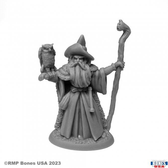30129 Amathor, Archmage Faantasy RPG Mini - Reaper Bones USA