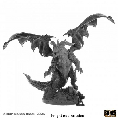 44234 Chaarondar the Cruel - Bones Black Boxed Set