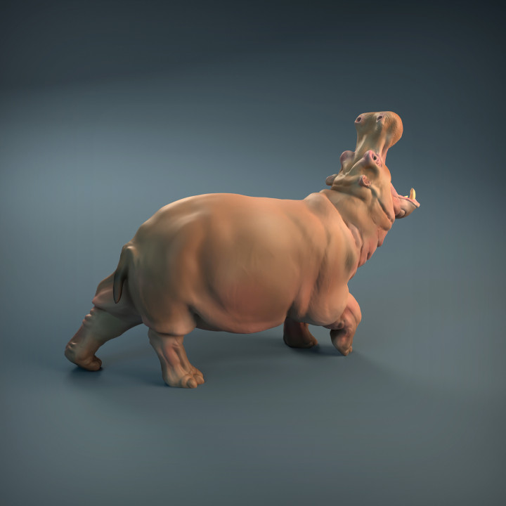 Angry Hippo - Iron Gate Scenery