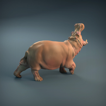 Angry Hippo - Iron Gate Scenery