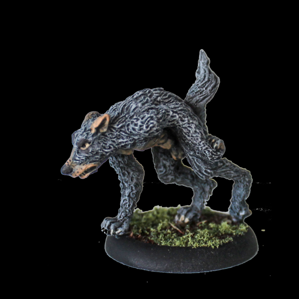 Wulver by Oakbound Studio. A lead pewter miniature supplied with 30mm round lipped base. A werewolf /wolf in a dynamic pose for your tabletop and RPGs.