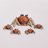 A pack of small crabs by Iron Gate Scenery in 28mm scale printed in resin for your tabletop games, D&amp;D monster, sea setting and other hobby needs containing one large crab and four small&nbsp; 