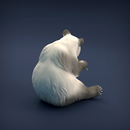 Giant Panda - Iron Gate Scenery