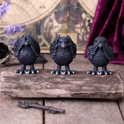 Three Wise Ravens Figurines from Nemesis Now a set of three black ravens depicting the classic See No Evil, Hear No Evil and Speak No Evil poses sculpted individually so you can stand them in any order you like.