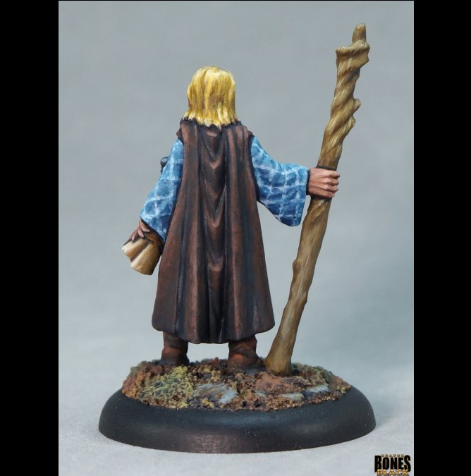 44268 Asandris Nightbloom Sorceress - Reaper Bones Black