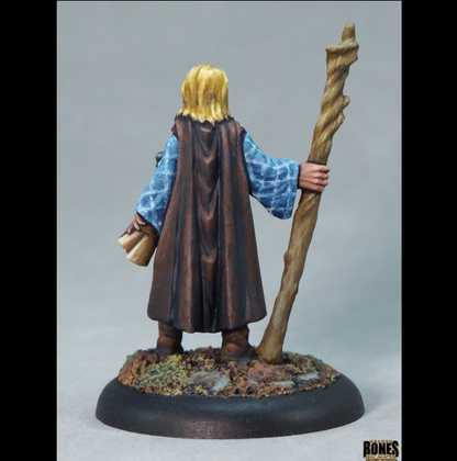 44268 Asandris Nightbloom Sorceress - Reaper Bones Black