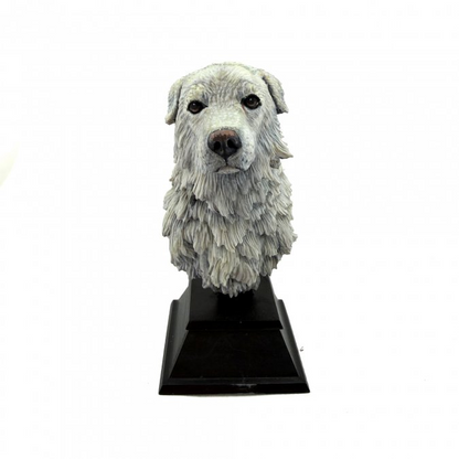 01311 Zeus the Wanderer Bust - Reaper Bones USA