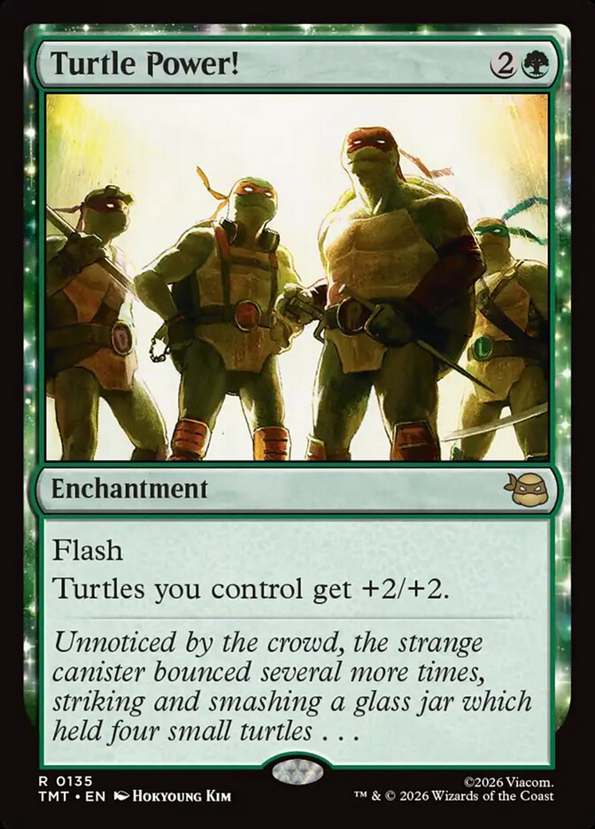 Turtle Power! Teenage Mutant Ninja Turtles #135