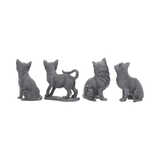 This lucky black cat comes in four different designs and you will receive one at random in its very own gift bag. There are four designs, one standing complete with base, one sitting licking its paw, one sitting with all four paws on the ground looking up and one sitting with its head facing to the side and a fluffier sculpted coat.