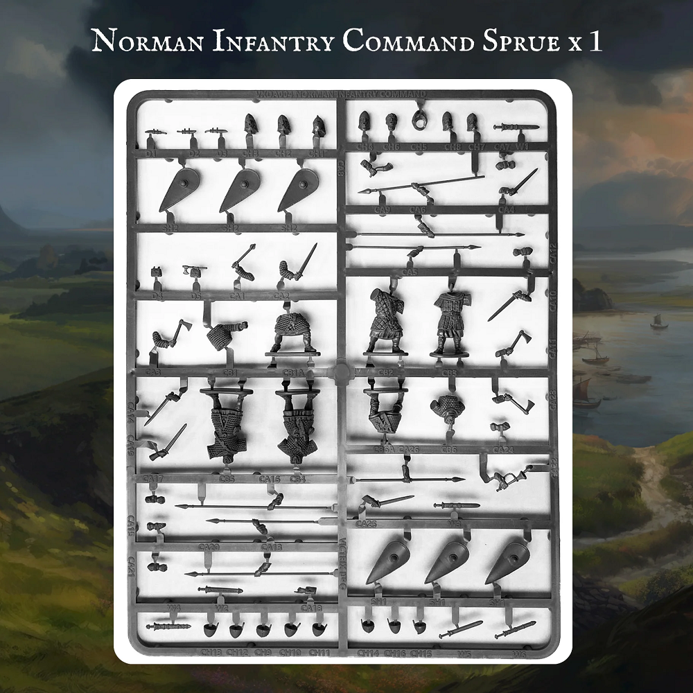 Victrix Norman Warband