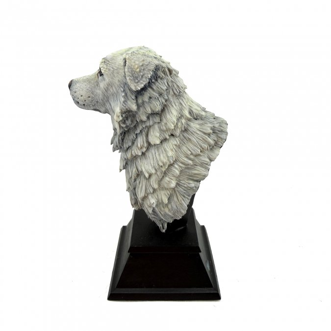 01311 Zeus the Wanderer Bust - Reaper Bones USA