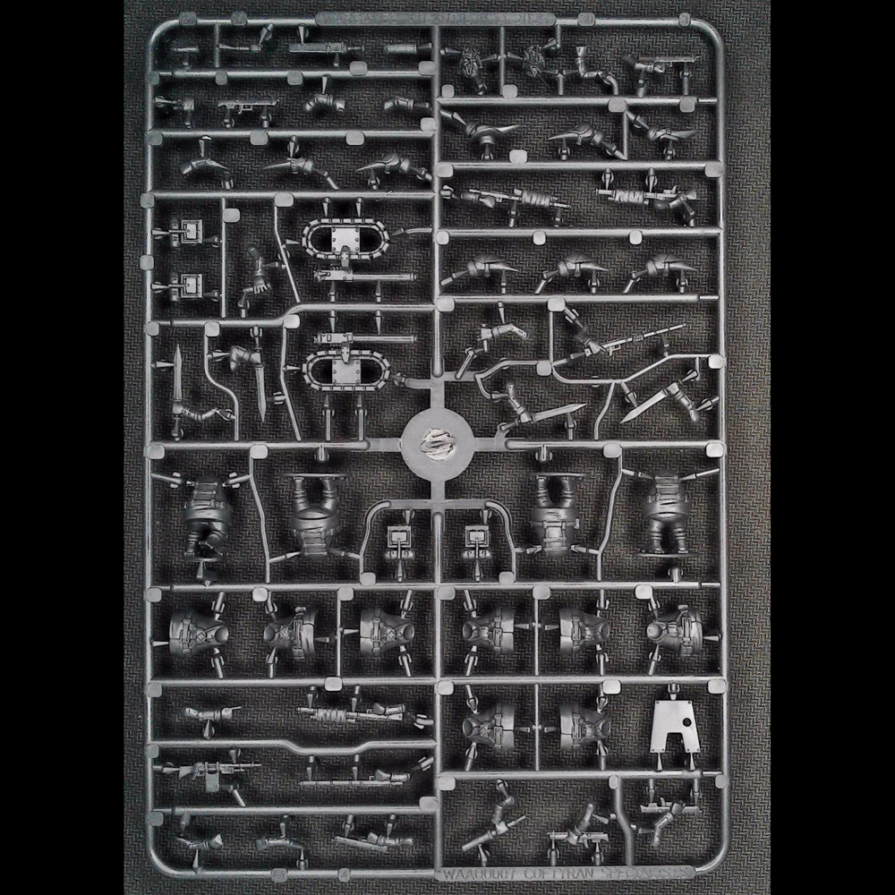 This Quar's War Coftyran Specialists