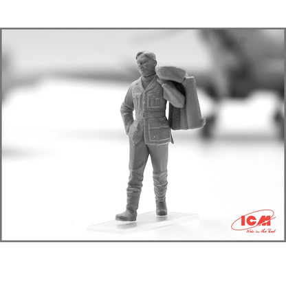 RAF Pilots and Ground Personnel (1939-1945)