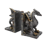 Dracus Machina Bookends from Nemesis Now. This hand painted steampunk clockwork dragon can look after your favourite books in style, this mechanical style dragon stands on all fours and is split in two to hold your books.