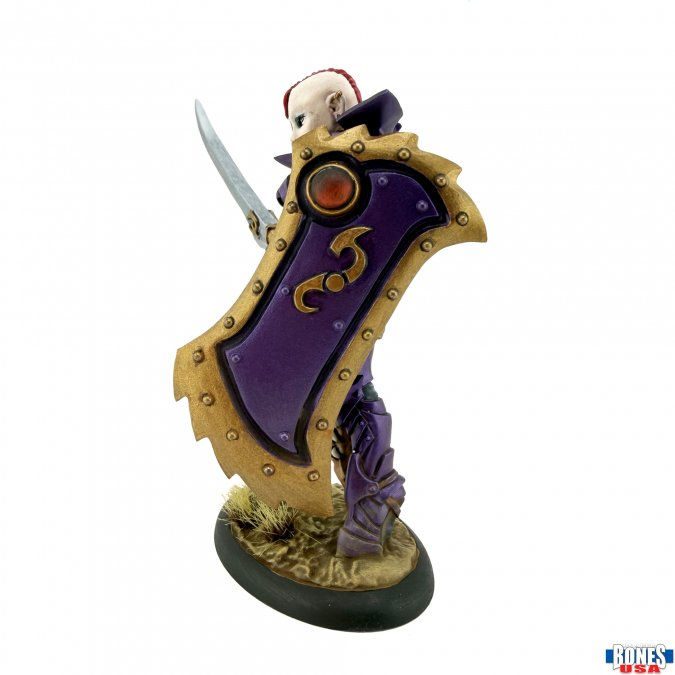 30286 Casiatta, Female Anti-Paladin Collector Scale 75mm - Reaper Bones USA