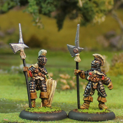 Fae Martial Phalanx by Oakbound Studio. A set of 11 lead pewter miniatures supplied with 30mm round lipped bases. Wonderfully armoured Fae warriors for your tabletop.