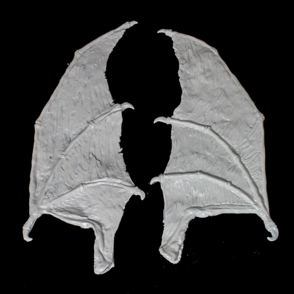 The Aedwyrm Wing Kit