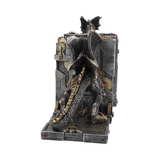 Dracus Machina Bookends from Nemesis Now. This hand painted steampunk clockwork dragon can look after your favourite books in style, this mechanical style dragon stands on all fours and is split in two to hold your books.