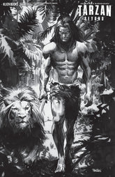 Tarzan Beyond #3 Variant D (Pano...