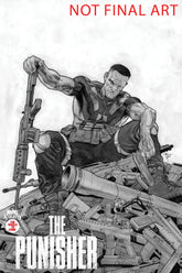 Marvel Knights: Punisher #2 Fran...