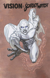 The Vision & The Scarlet Wit...