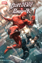 Daredevil/Punisher: The Devil...