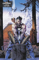 Daredevil/Punisher: The Devil...