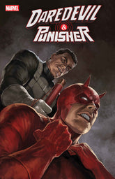 Daredevil/Punisher: The Devil...
