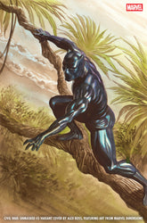 Civil War: Unmasked #3 Alex Ross...